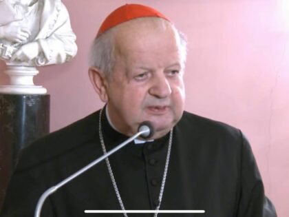 SZOK! Czy kardynał Dziwisz tuszował problem pedofilii w kościele?